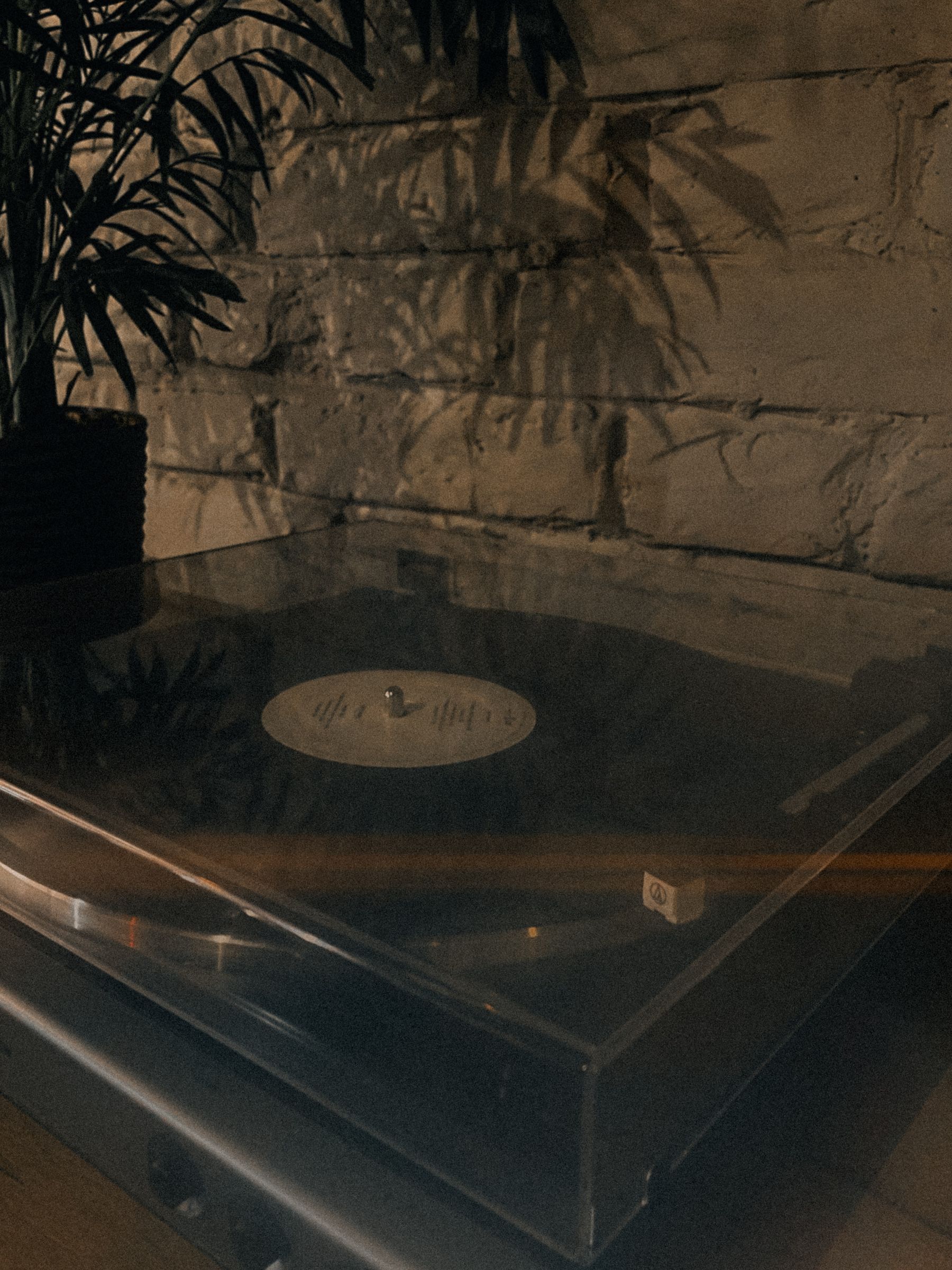 실내에서 재생 중인 레코드의 연출용 사진